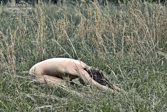 Simplicity Yoga