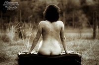 The Bench