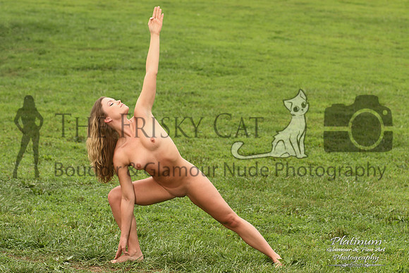 Crimson Swan Fine Art Gallery Yoga