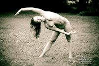 Crimson Swan Fine Art Gallery Yoga