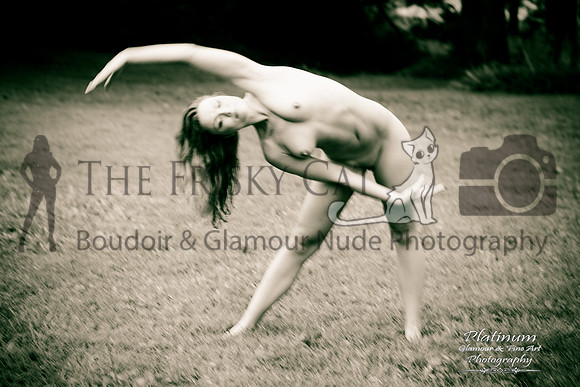 Crimson Swan Fine Art Gallery Yoga