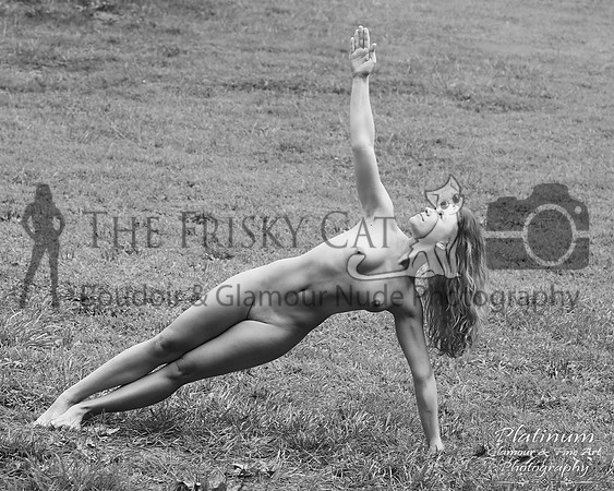 Crimson Swan Fine Art Gallery Yoga