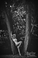 Black and White _LJI4061