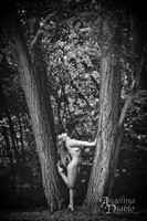 FM2_Art_LJI4075