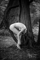 BW_DSC1830