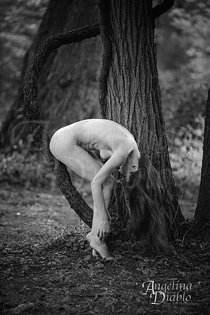BW_DSC1830