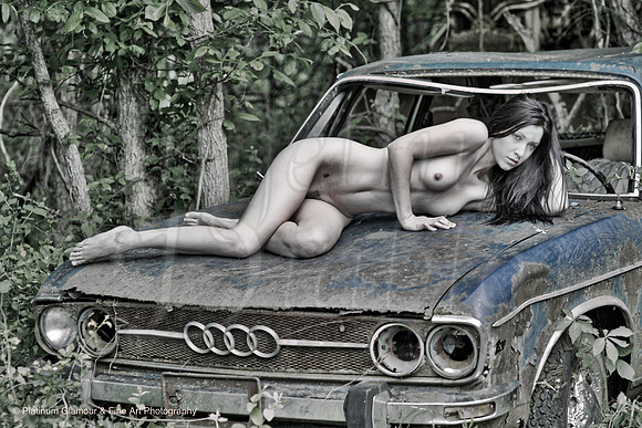 Abandoned Car
