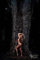 Adlee_7