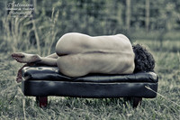 The Bench