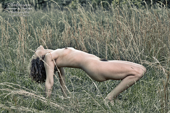 Simplicity Yoga