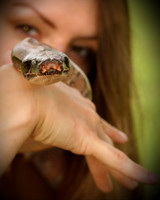 Snakes