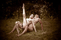 Crimson Swan Fine Art Gallery Couple
