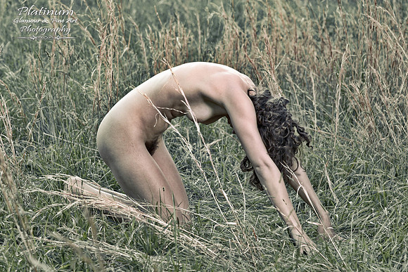 Simplicity Yoga