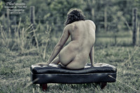 The Bench