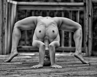Contorted