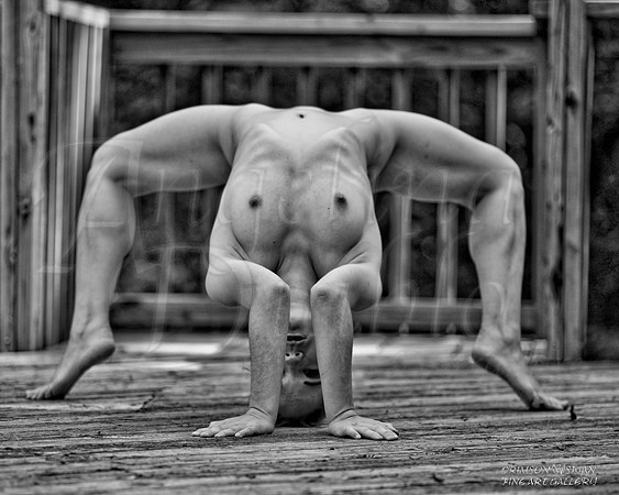 Contorted