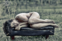 The Bench