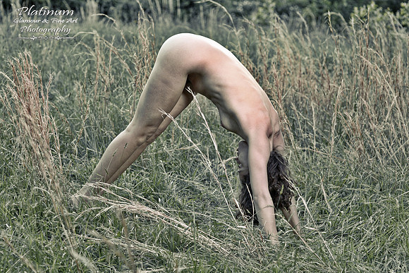 Simplicity Yoga