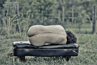 The Bench